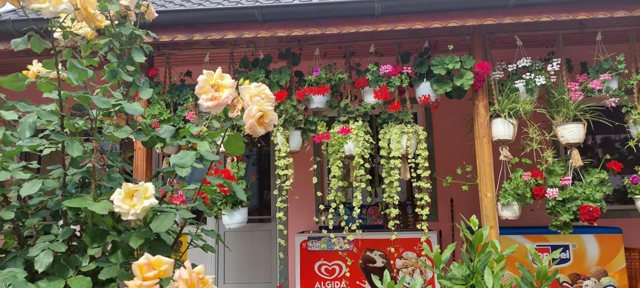 Pensiunea Happy Flowers Greci Exteriör bild
