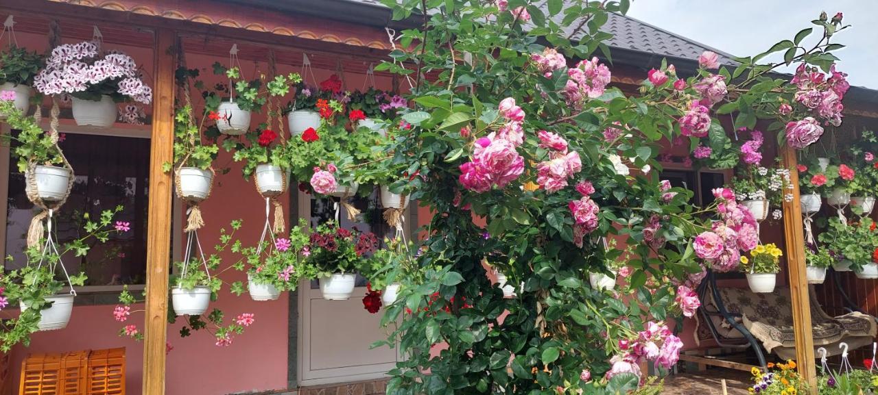 Pensiunea Happy Flowers Greci Exteriör bild